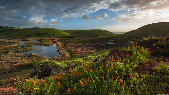 Coyote Hills Regional Park | East Bay Parks