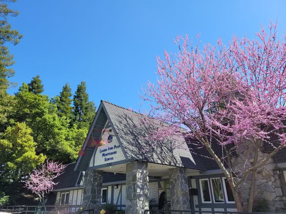 Danville, California, preschool building