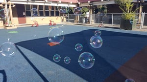 Learn And Play Montessori is the best preschool choice in Fremont.