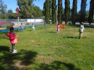 he best Blackhawk Montessori school is in Danville.