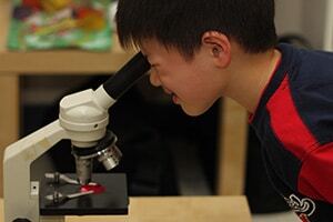 Free home-schooling tools from Learn And Play Montessori