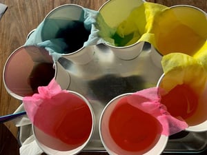 Montessori learning is now available in virtual or online format.