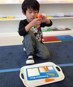 Daycare near Tesla in Fremont, California.