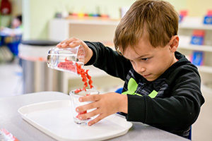Learn and Play Montessori Maple Fremont Campus