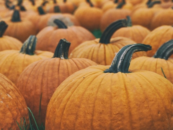 Halloween Parade