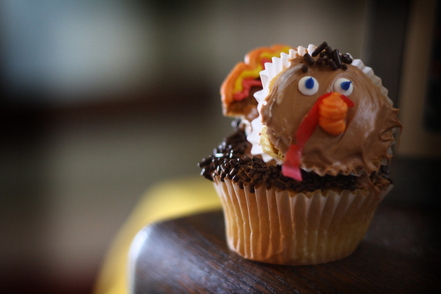 Thanksgiving Holiday, No School