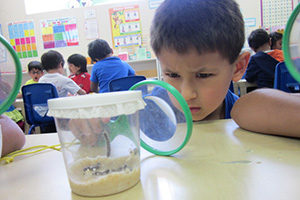 Learn and Play Montessori South Fremont Campus