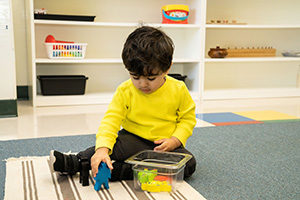 Learn and Play Montessori Danville Campus