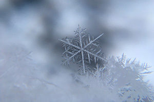 News and Events