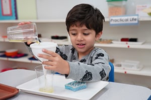 Learn and Play Montessori Niles Fremont Campus