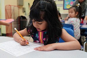 Learn and Play Montessori Niles Fremont Campus