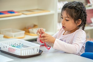 Learn and Play Montessori Peralta Fremont Campus