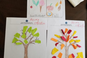 Montessori learning is now available virtually.