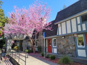 Private preschool in Pleasant Hill