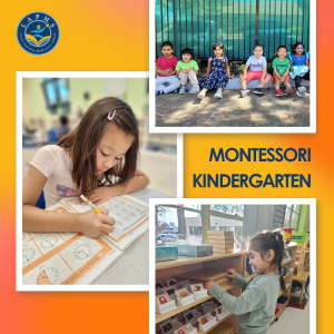 Children learning using the Montessori method.