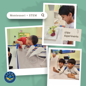 Montessori plus STEM (Science Technology Engineering and Math)