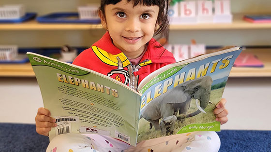 Sunnyvale California Montessori Preschool Testimonials and Reviews