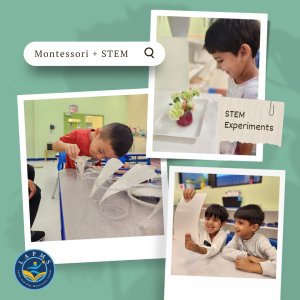 Montessori plus STEM (Science Technology Engineering and Math)